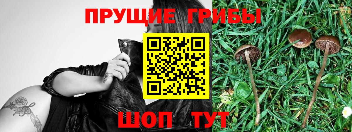 Галлюциногенные грибы MAGIC MUSHROOMS  Верхний Уфалей 