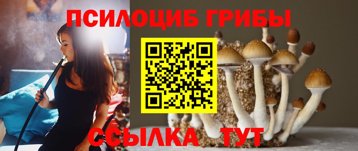 Псилоцибиновые грибы MAGIC MUSHROOMS Верхний Уфалей